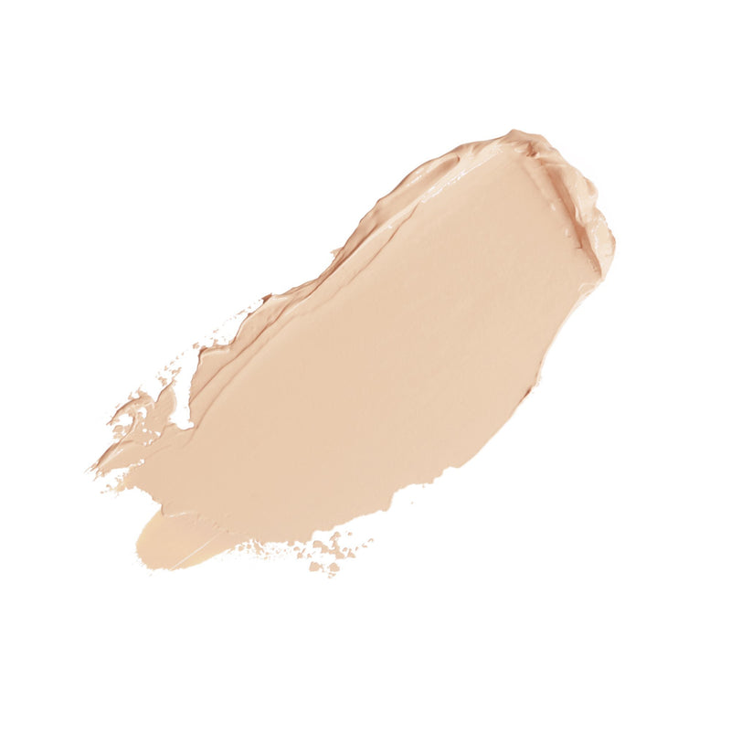 THE ONE CONCEALER