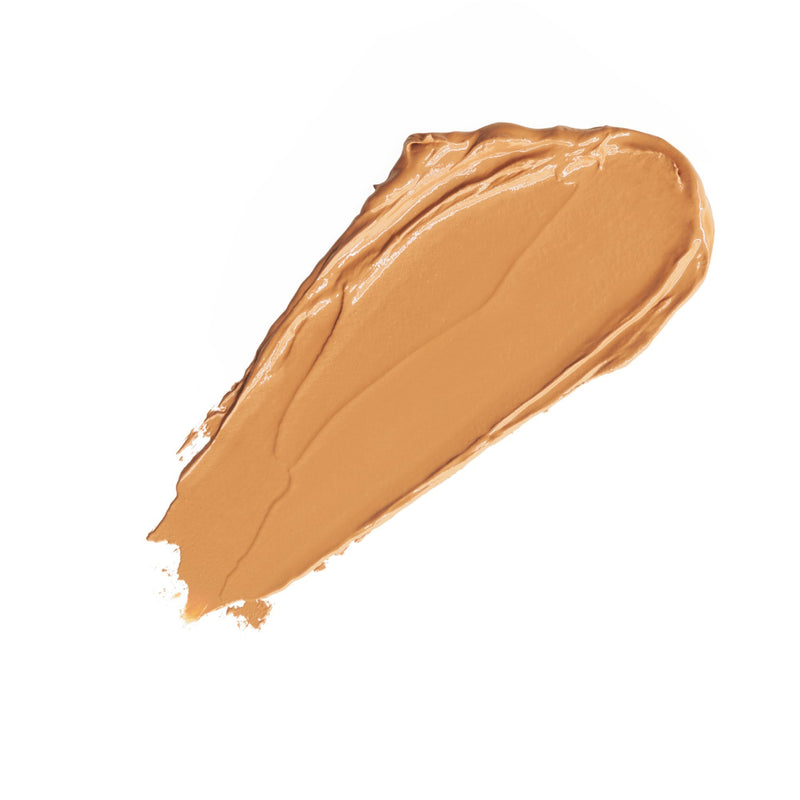 THE ONE CONCEALER